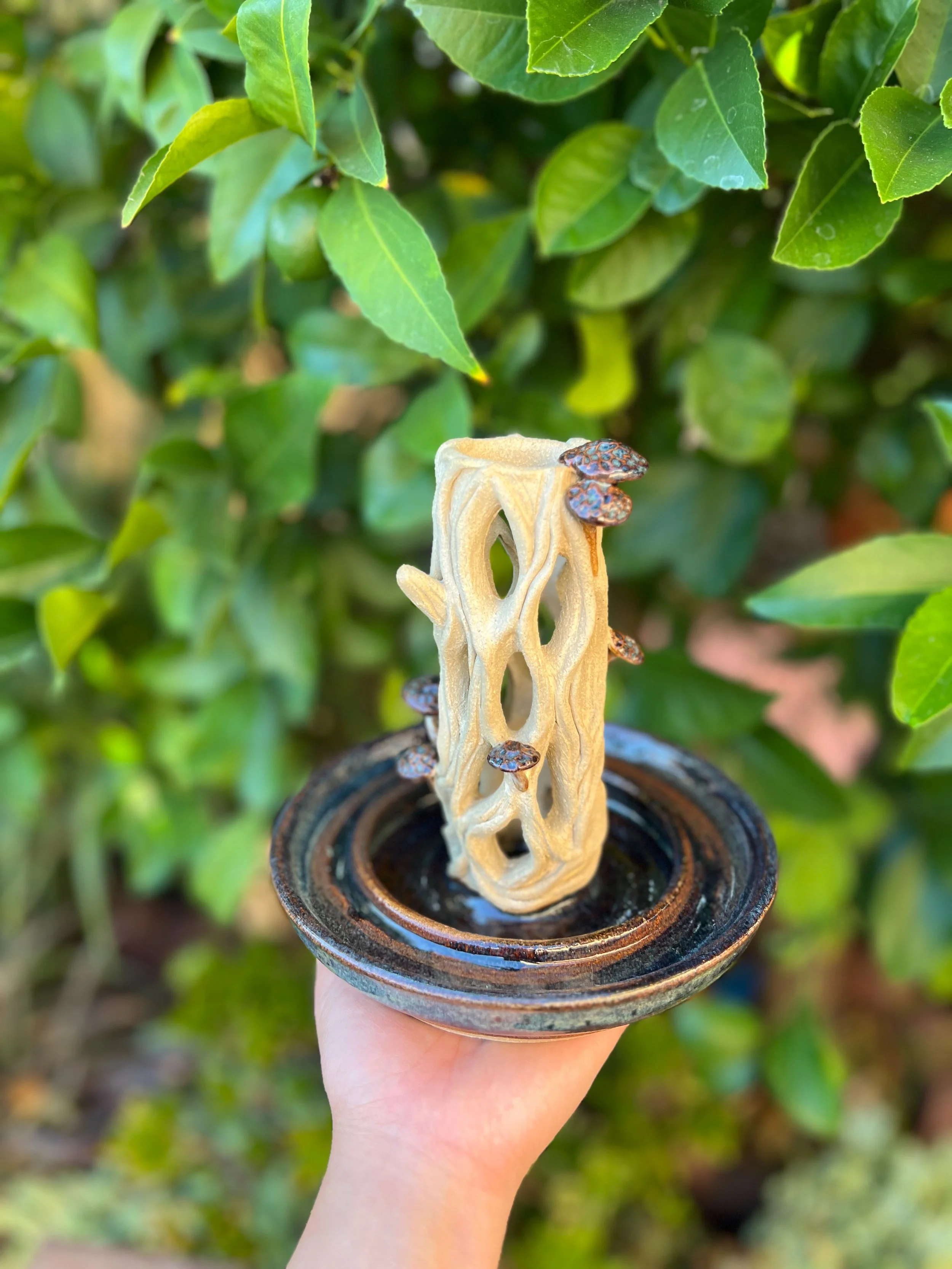 Understory Labyrinth